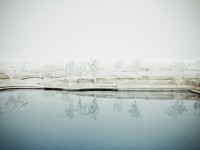 http://www.californiamagnetics.com/files/gimgs/th-14_trees-3.jpg